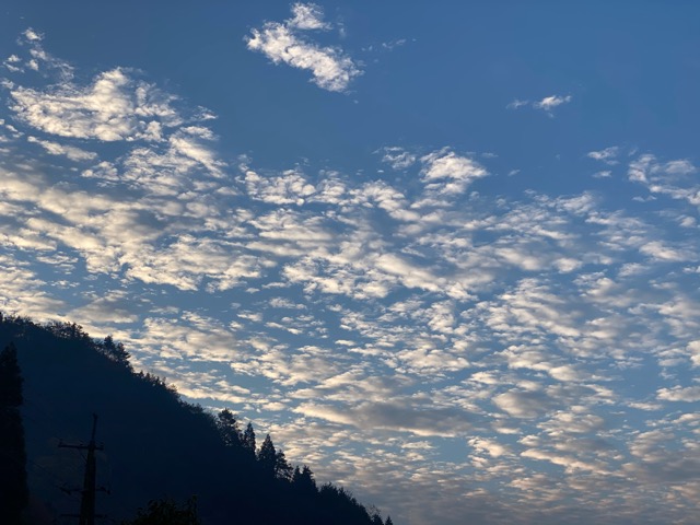 ほのぼの朝の冬空....の画像