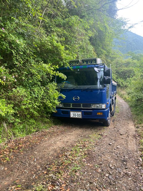 🚚危機一髪🚚の画像