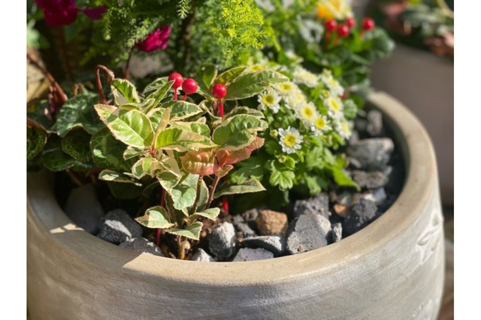 レンガチップ　「ナイト」の商品画像00